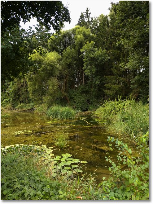 fellheim01