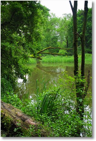 hochwasser2