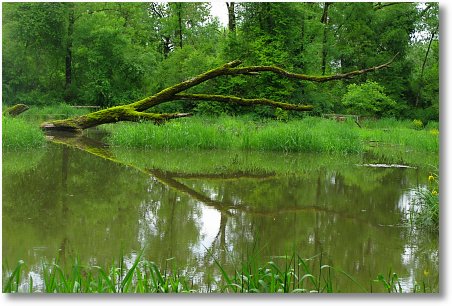 hochwasser3