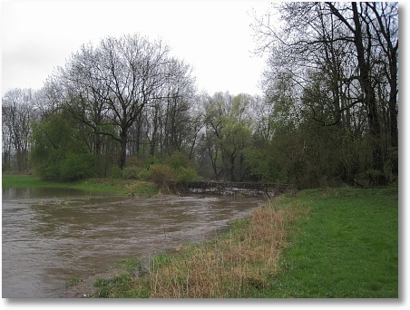 img 1695-165930
