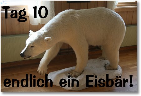 tag10-k