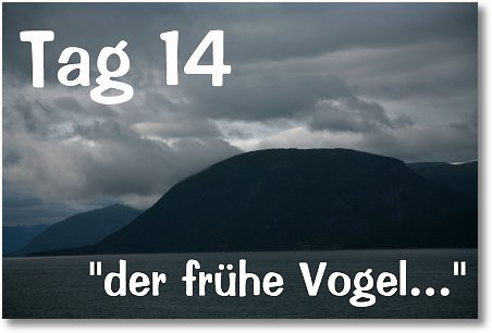 tag14-k